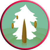 narození v borovici