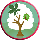 narození v kaštanovníku